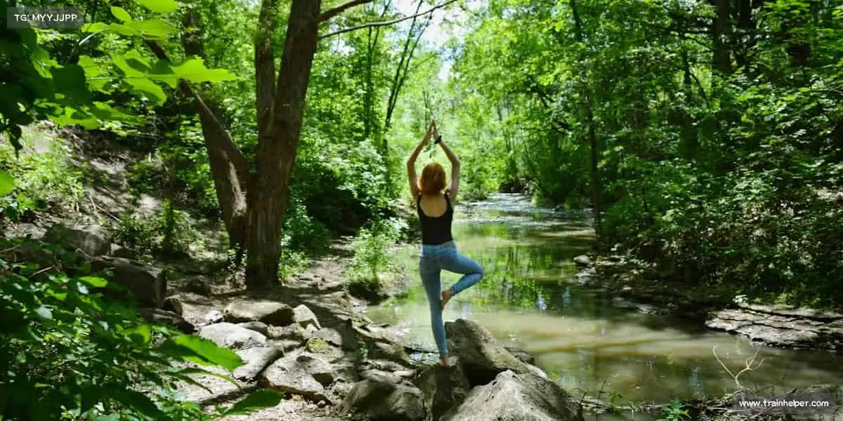 行业领先的理由